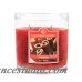Colonial Candle Cinnamon Jar Candle CCAN1243